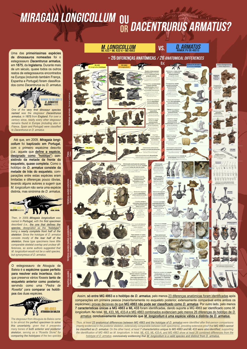 Francisco Costa P. tweet media