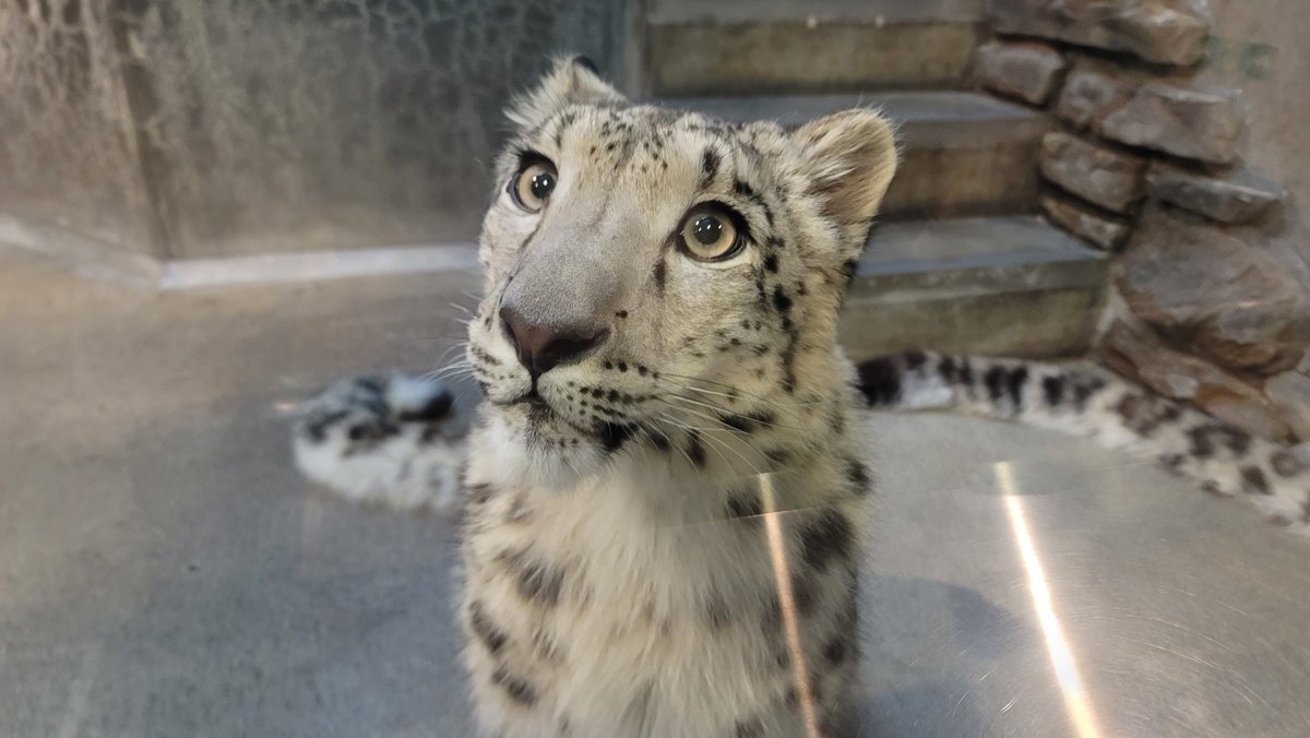 TheSilverSickle 🇵🇸 🇺🇦 tweet media