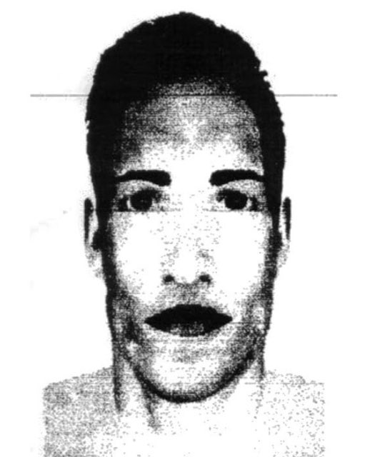 aryan pomni tweet media