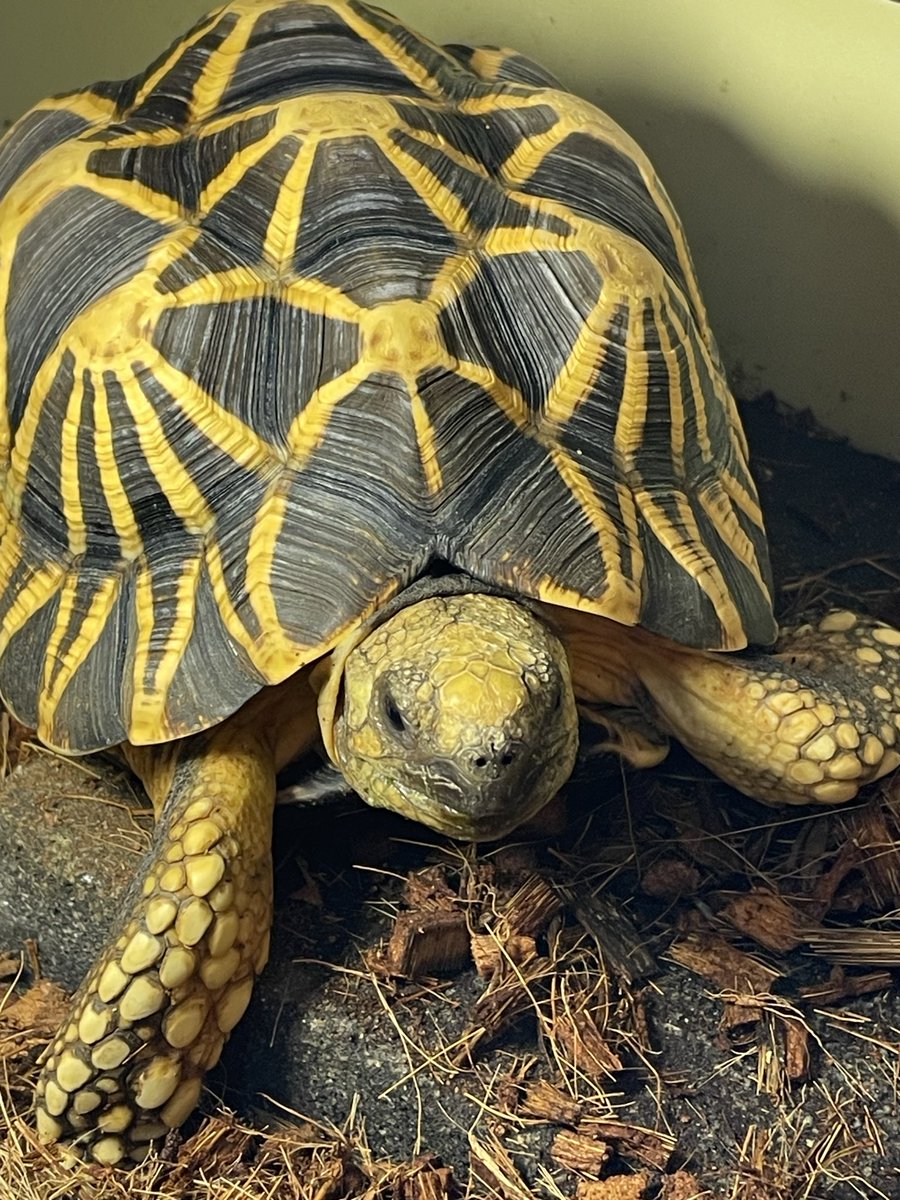 寿ん壱 tweet media