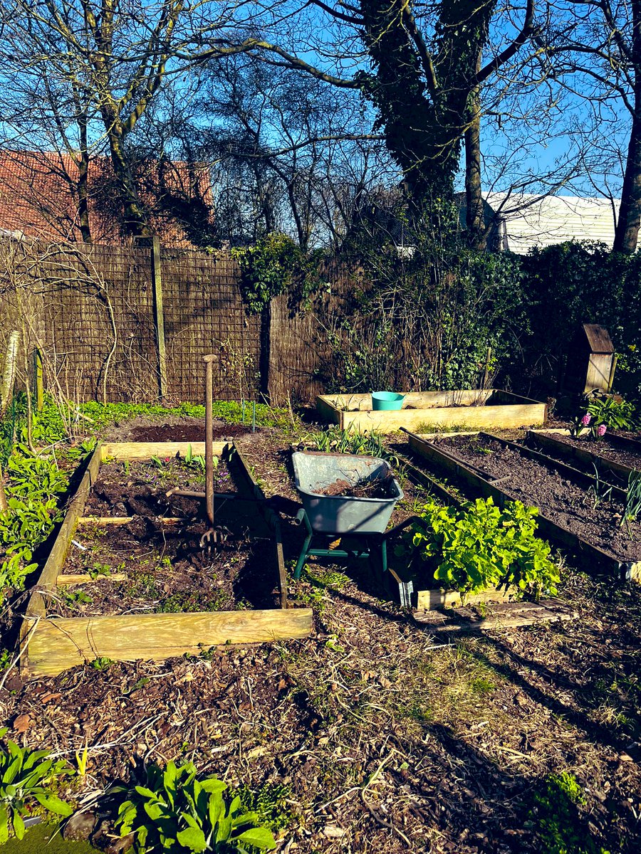 🌱 M 🐝 🌈 tweet media