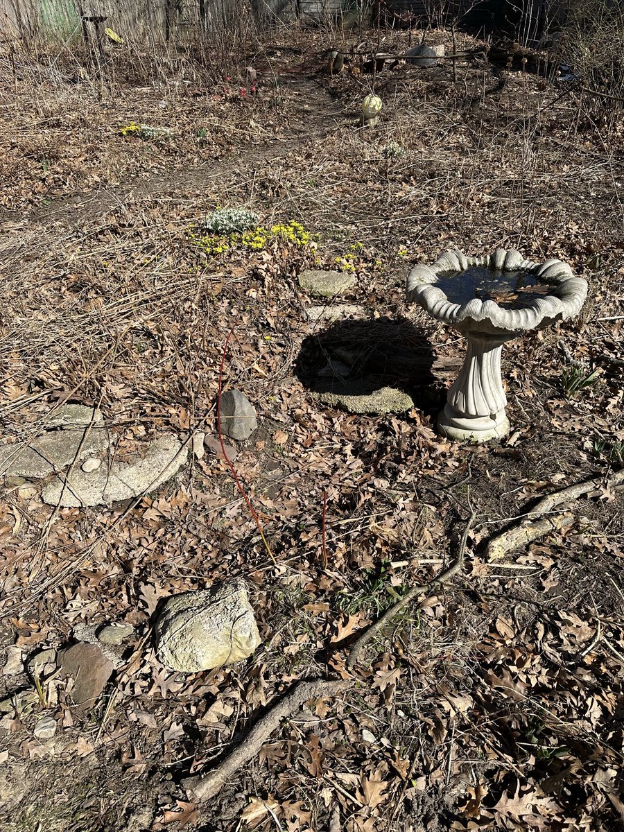 Dan Ryan Neff tweet media