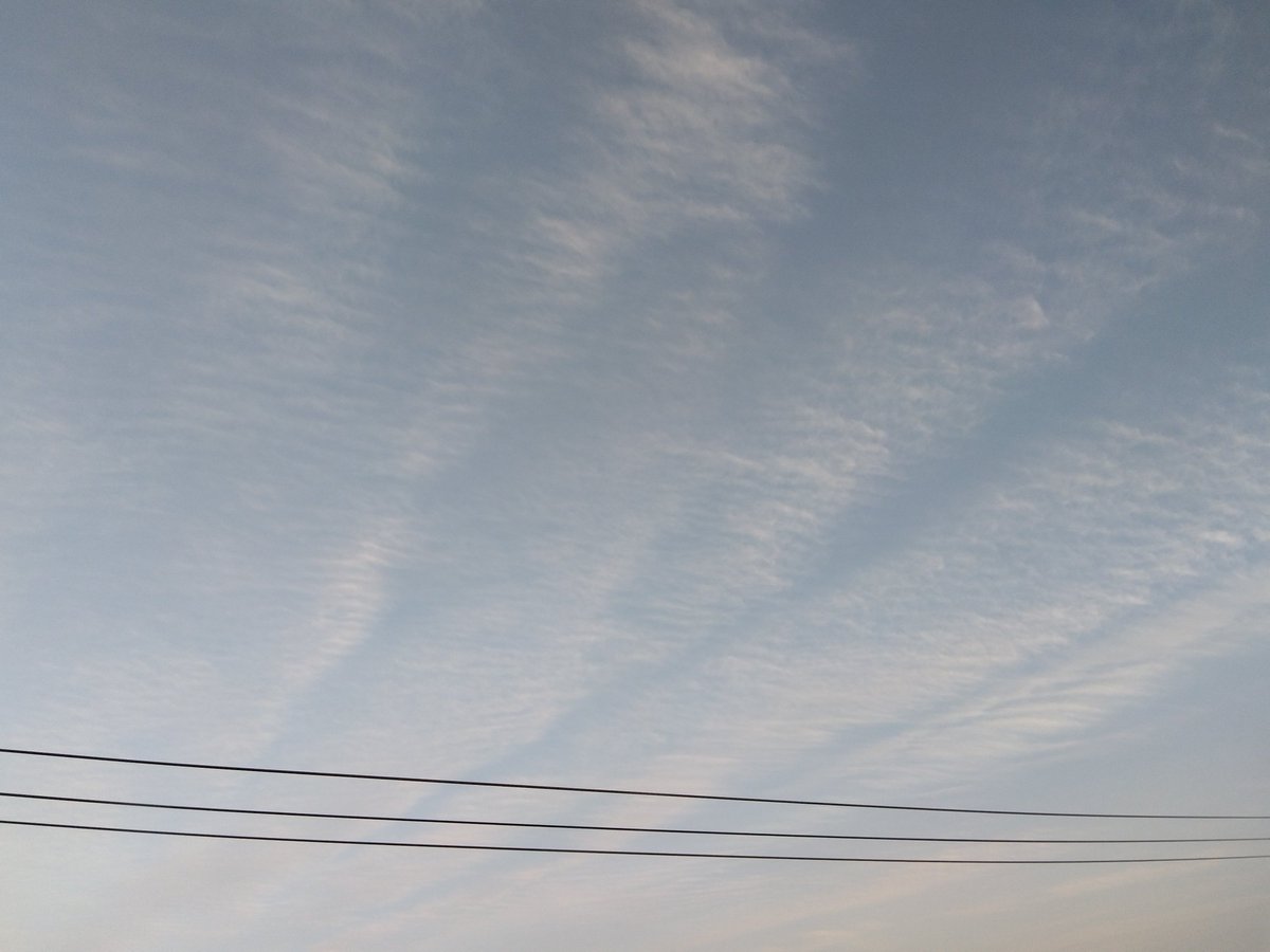 こまり tweet media