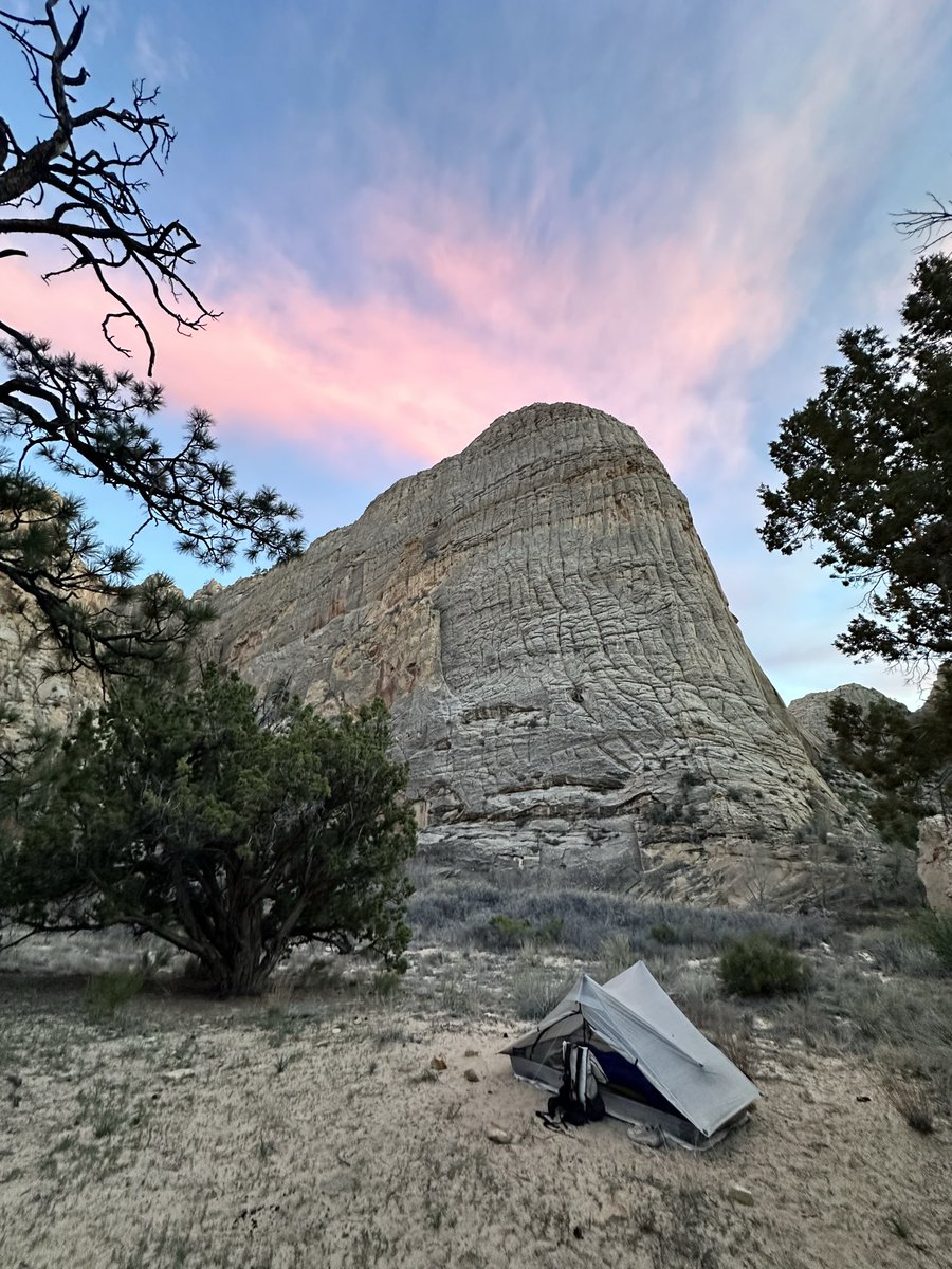 Duke Delarosa tweet media