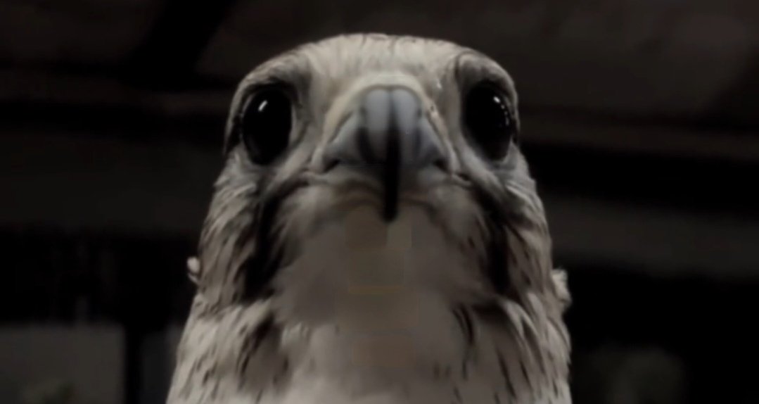 ✧𝔑𝔞𝔰𝔰𝔢𝔯✧ tweet media