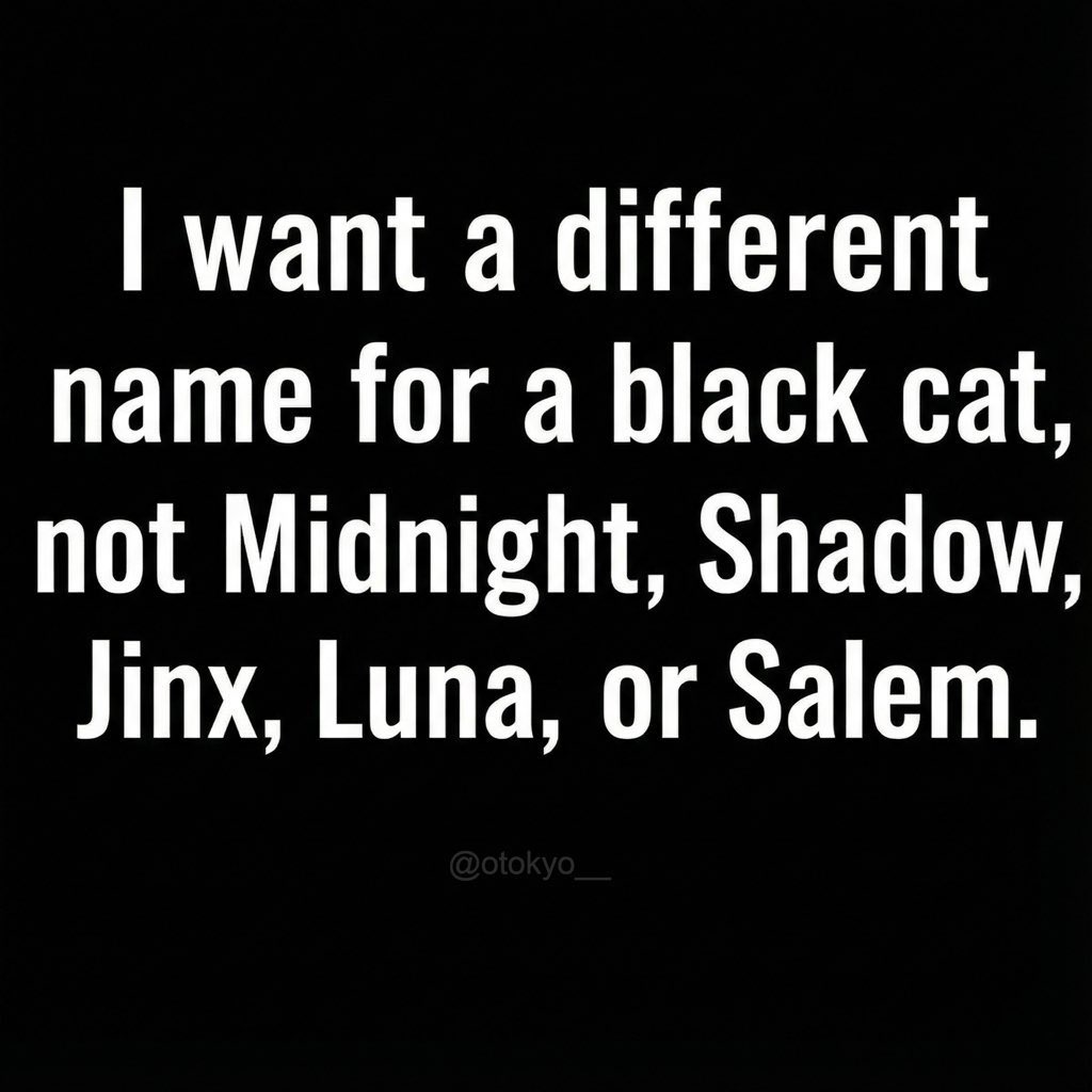 Chef 👩🏻‍🍳 tweet media