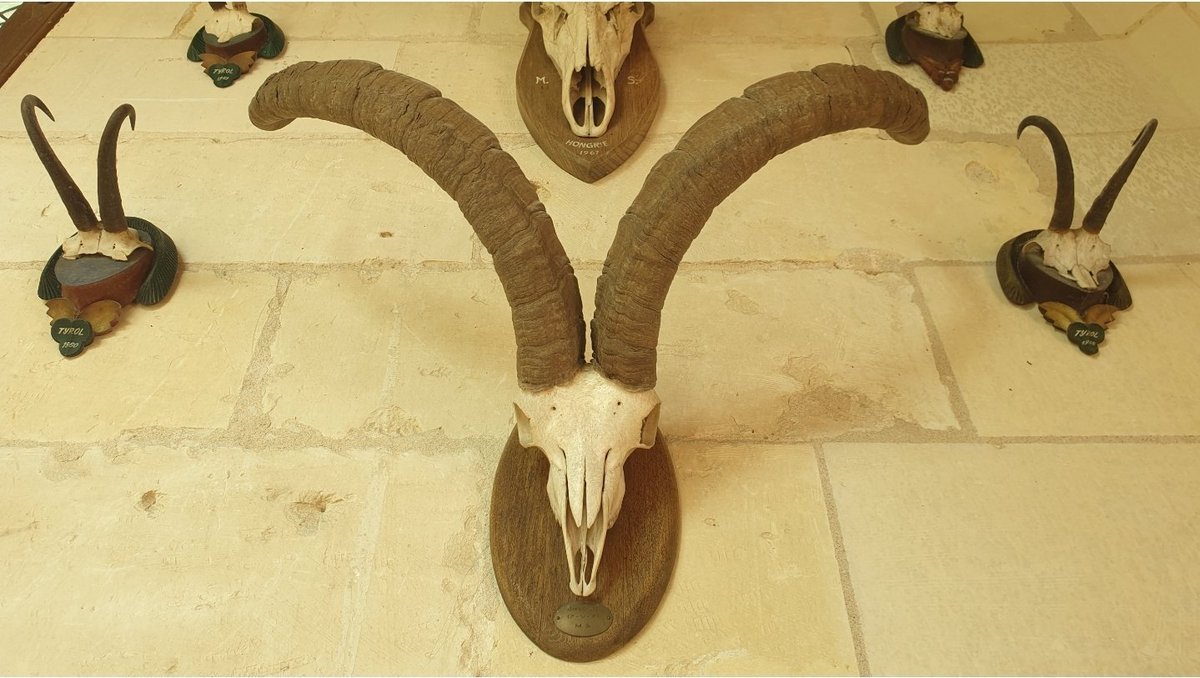 Te marco el camino tweet media