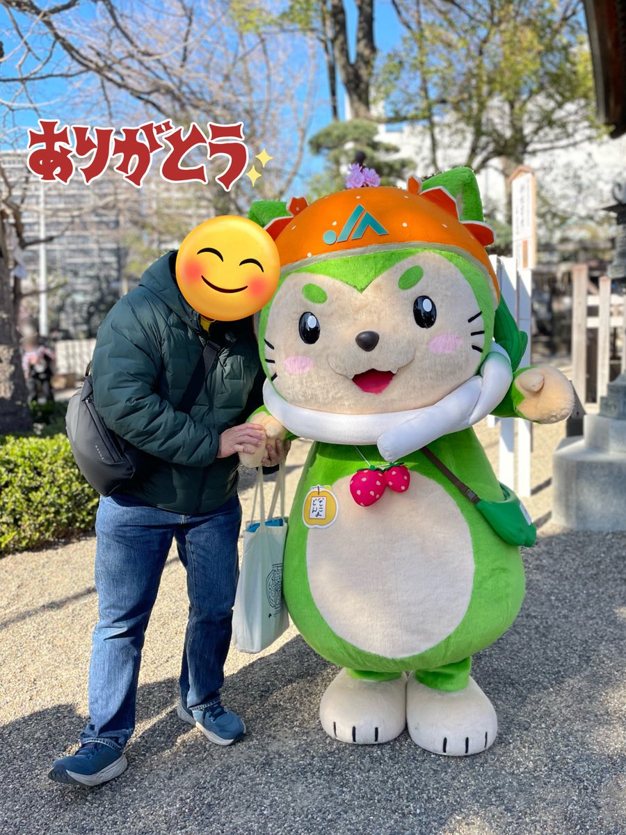 Mimirol Ipsum tweet media