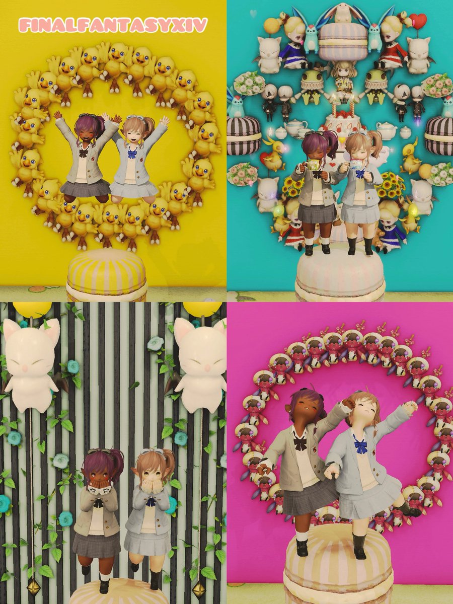 ぼっち（Boochi chan） tweet media