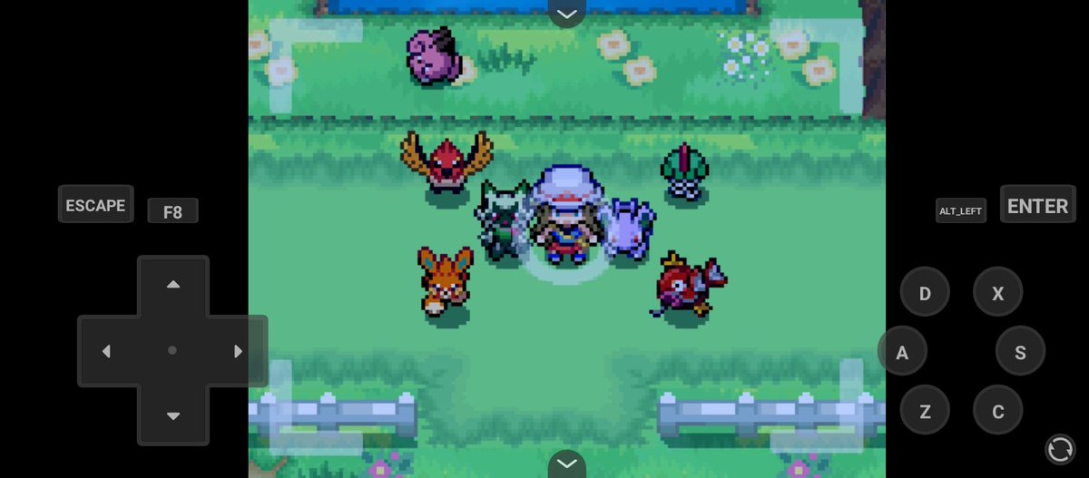 PINGUX李信 tweet media