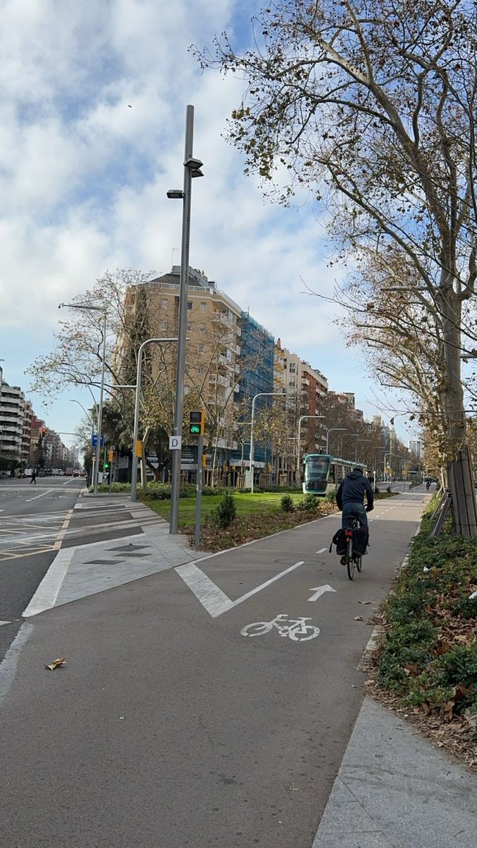 Mr lippi tweet media