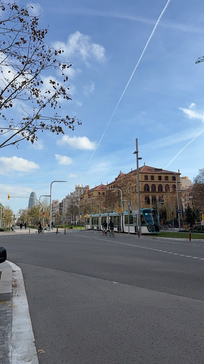 Mr lippi tweet media