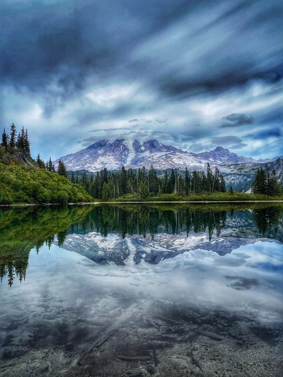 DENISE B tweet media