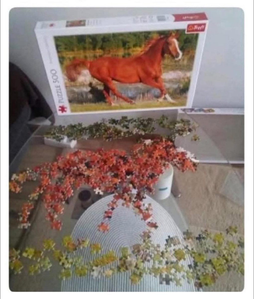 CENTAURO tweet media