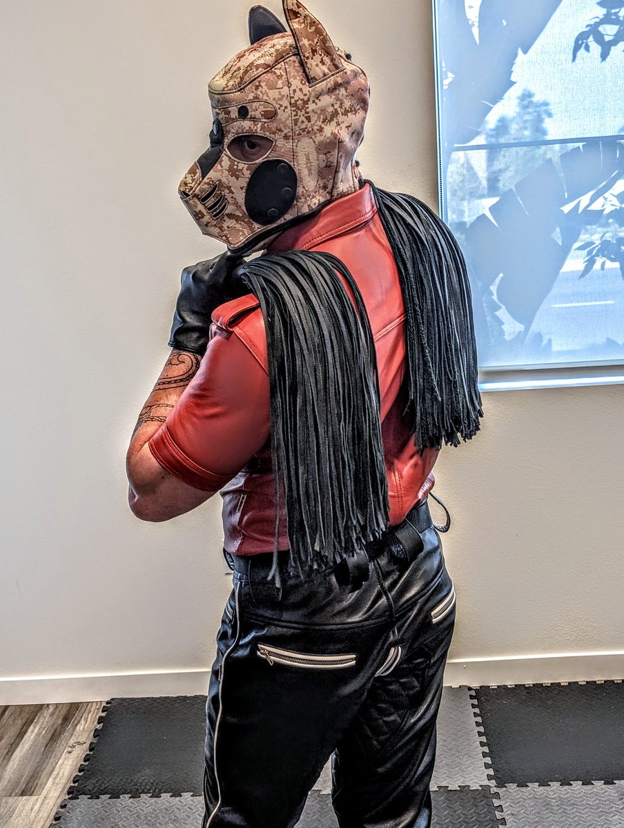 Alpha Pup Templar tweet media