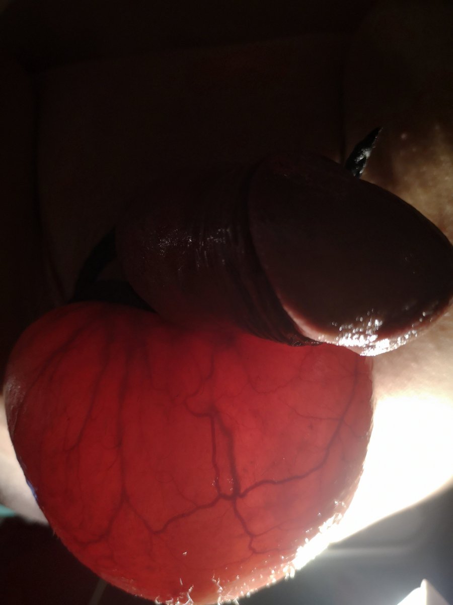 Domina Lady Britt tweet media