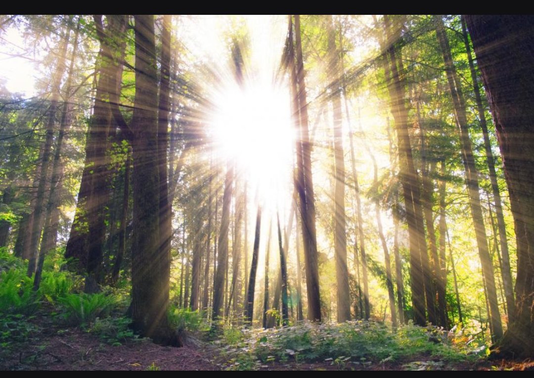 Stan The Analyst! tweet media