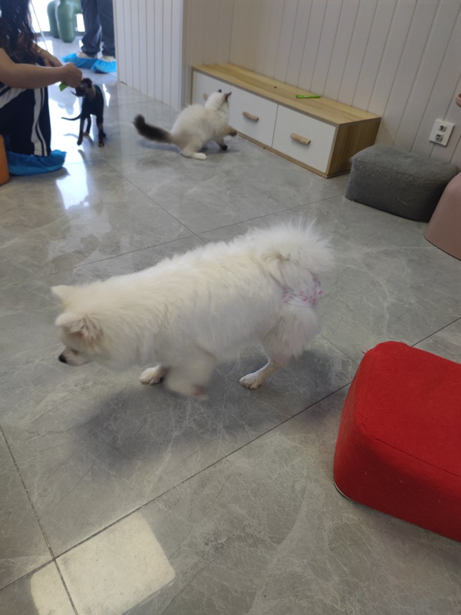 2006group1 tweet media