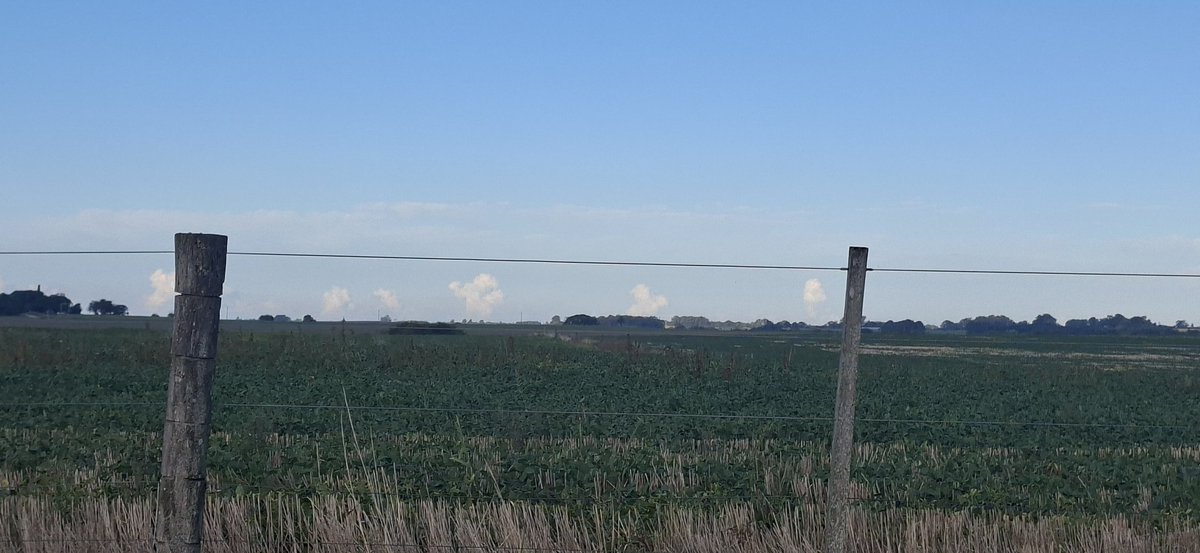 El Calcu tweet media