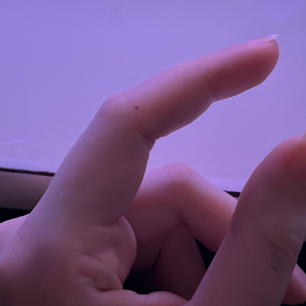 Canna Lily🦩🌺 tweet media