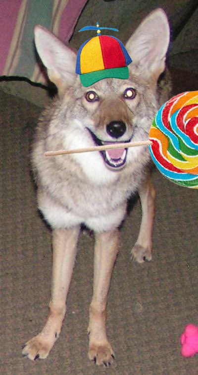 not microwave safeΘΔ tweet media