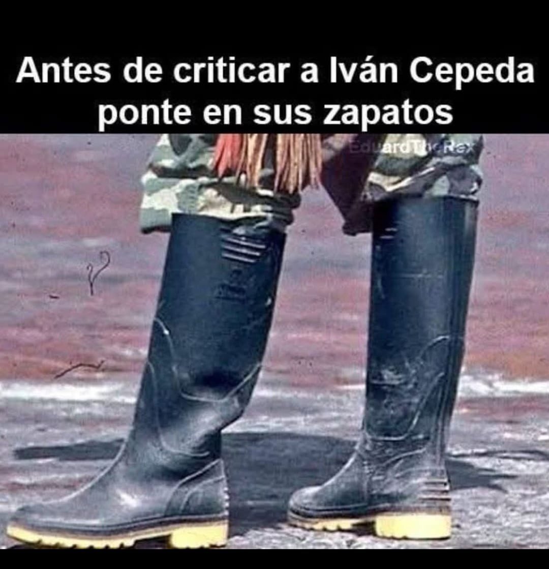 Don Pelayo tweet media