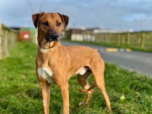 Lisa Clare Read 💙 tweet media