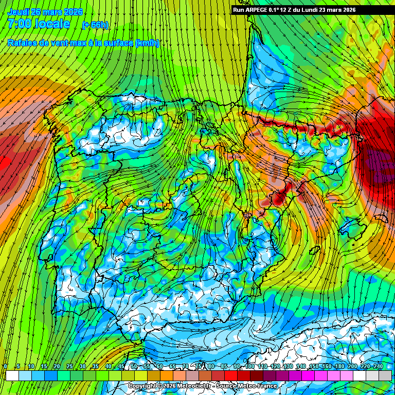 Àlex Van der Laan tweet media