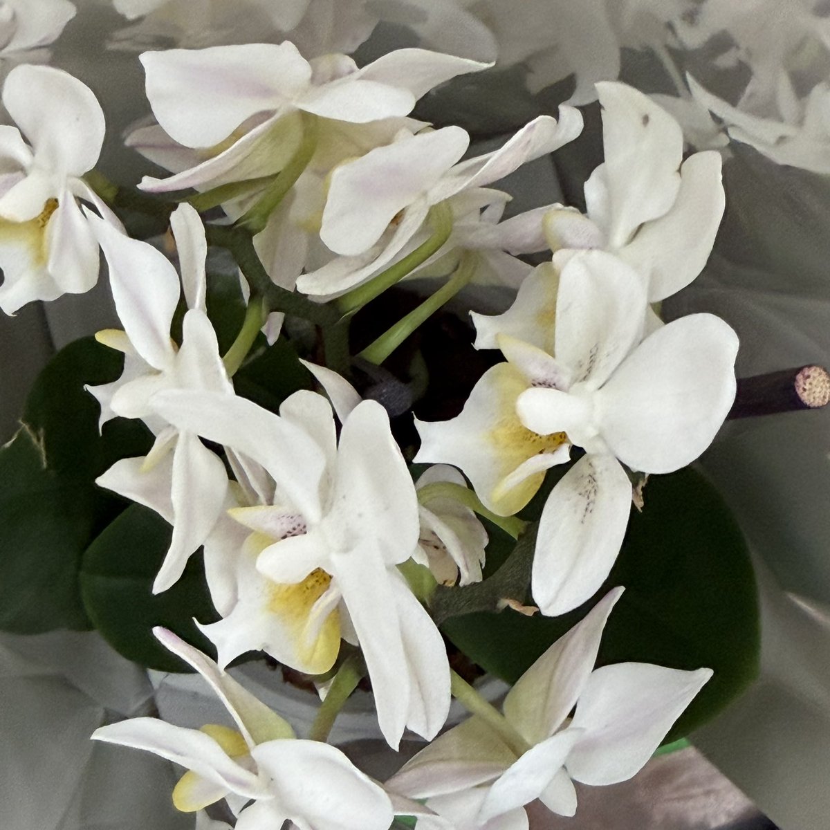 Ramazan Bulut tweet media