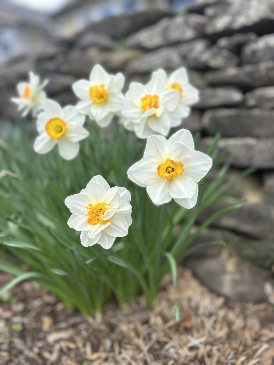 Faith Ann is cold tweet media