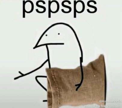 YaBoiMagnus97 tweet media