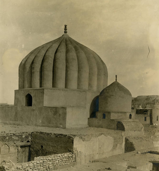 FGC8712 مشروع قريش وبني هاشم الجيني tweet media