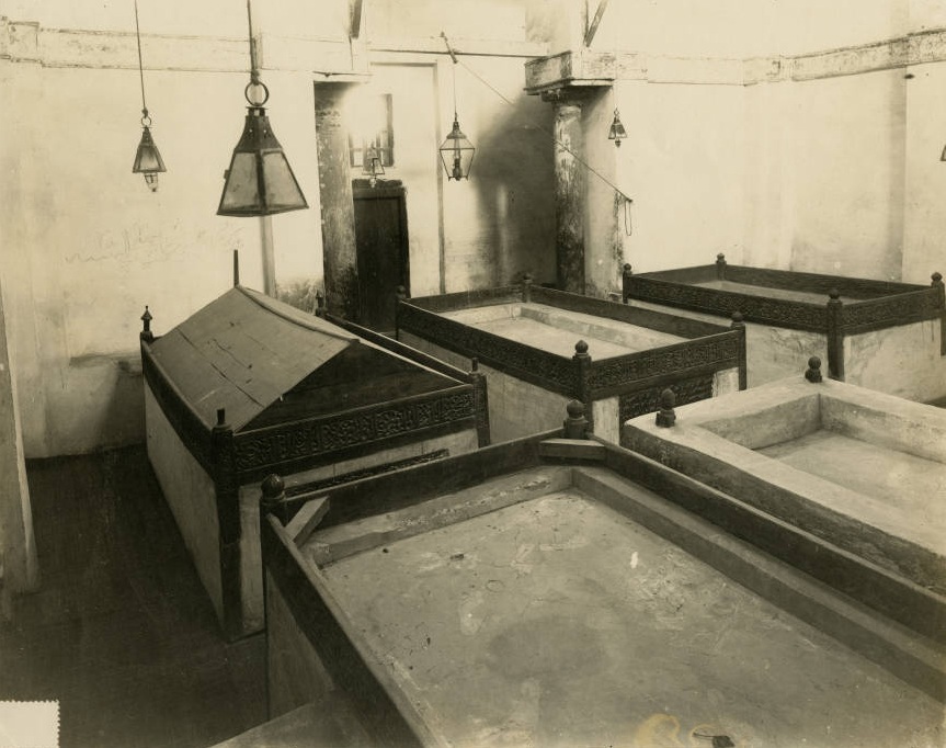 FGC8712 مشروع قريش وبني هاشم الجيني tweet media