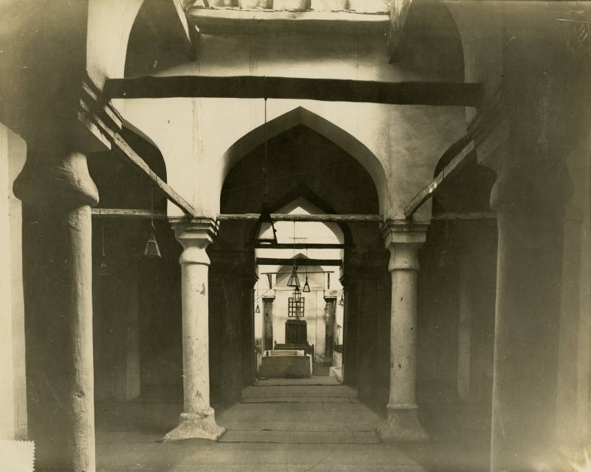 FGC8712 مشروع قريش وبني هاشم الجيني tweet media