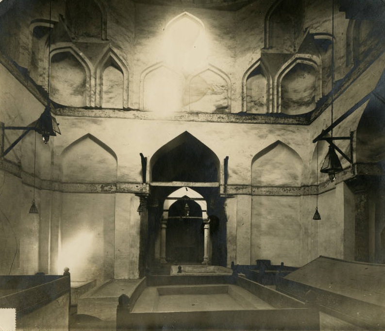 FGC8712 مشروع قريش وبني هاشم الجيني tweet media