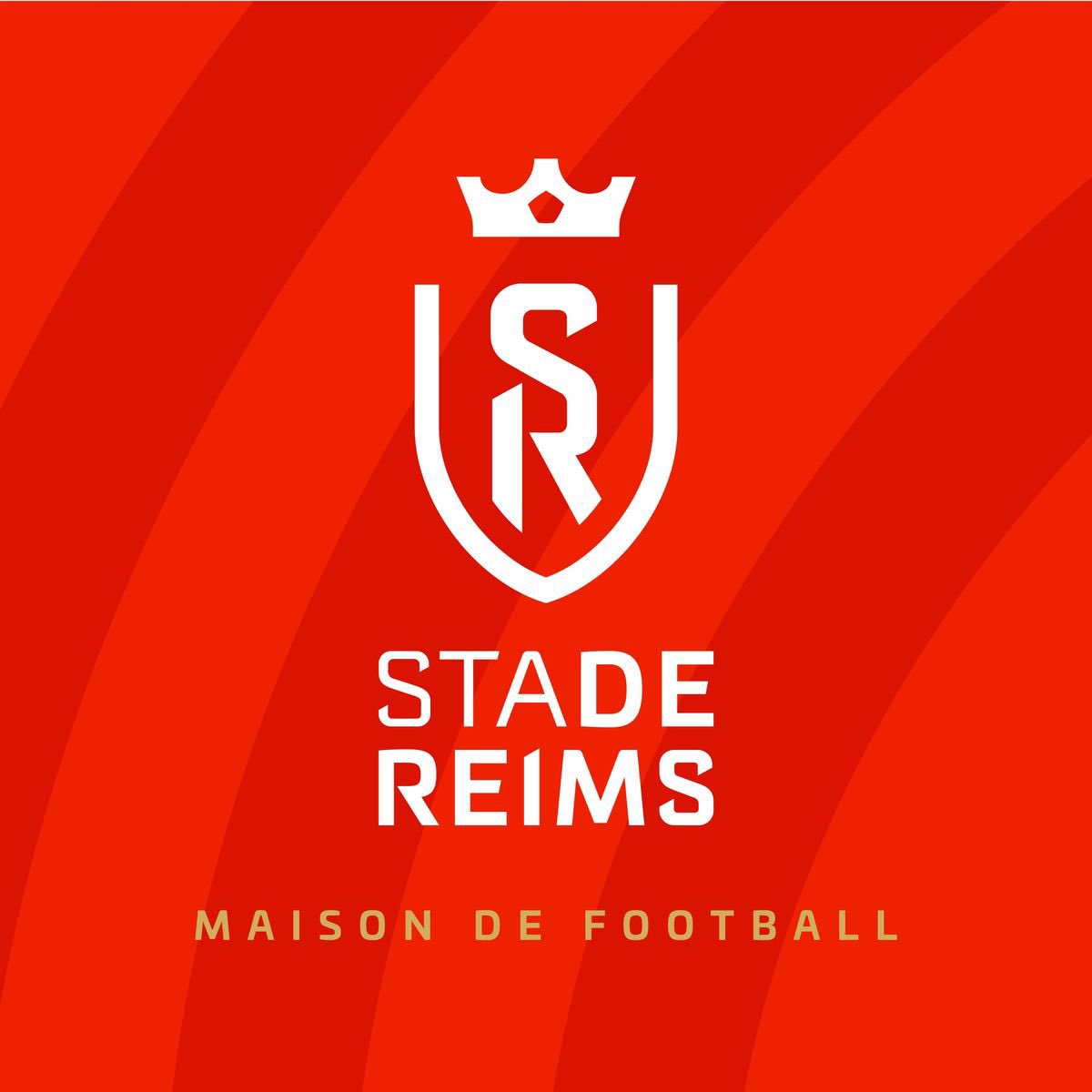 Mercato Plein tweet media