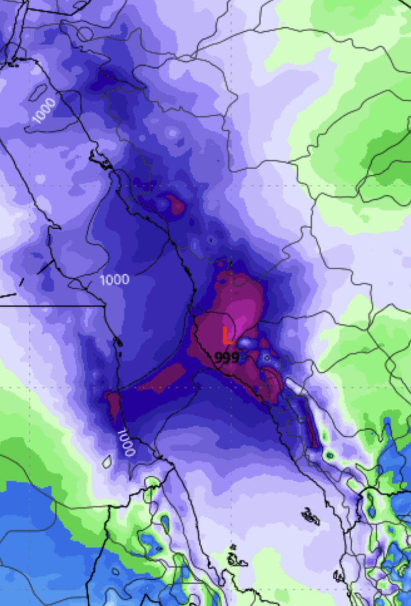 راعــد tweet media