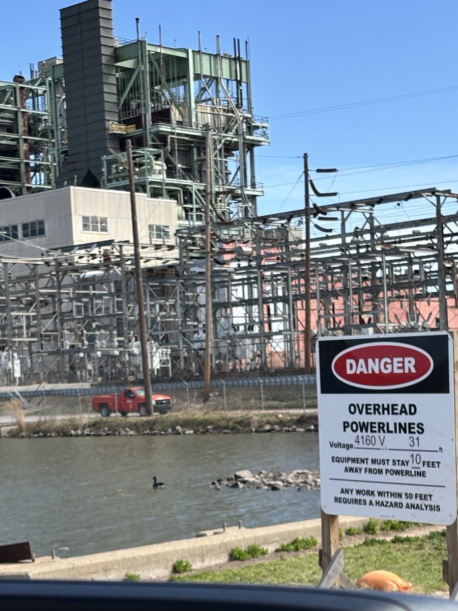 Ron Mexico11 tweet media