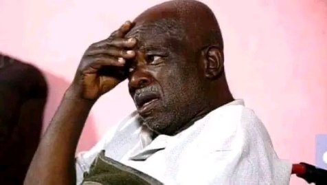 Brother Bear 🐻 tweet media