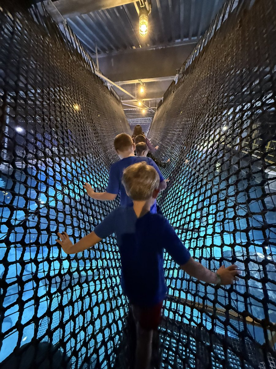 Lauren Larson tweet media