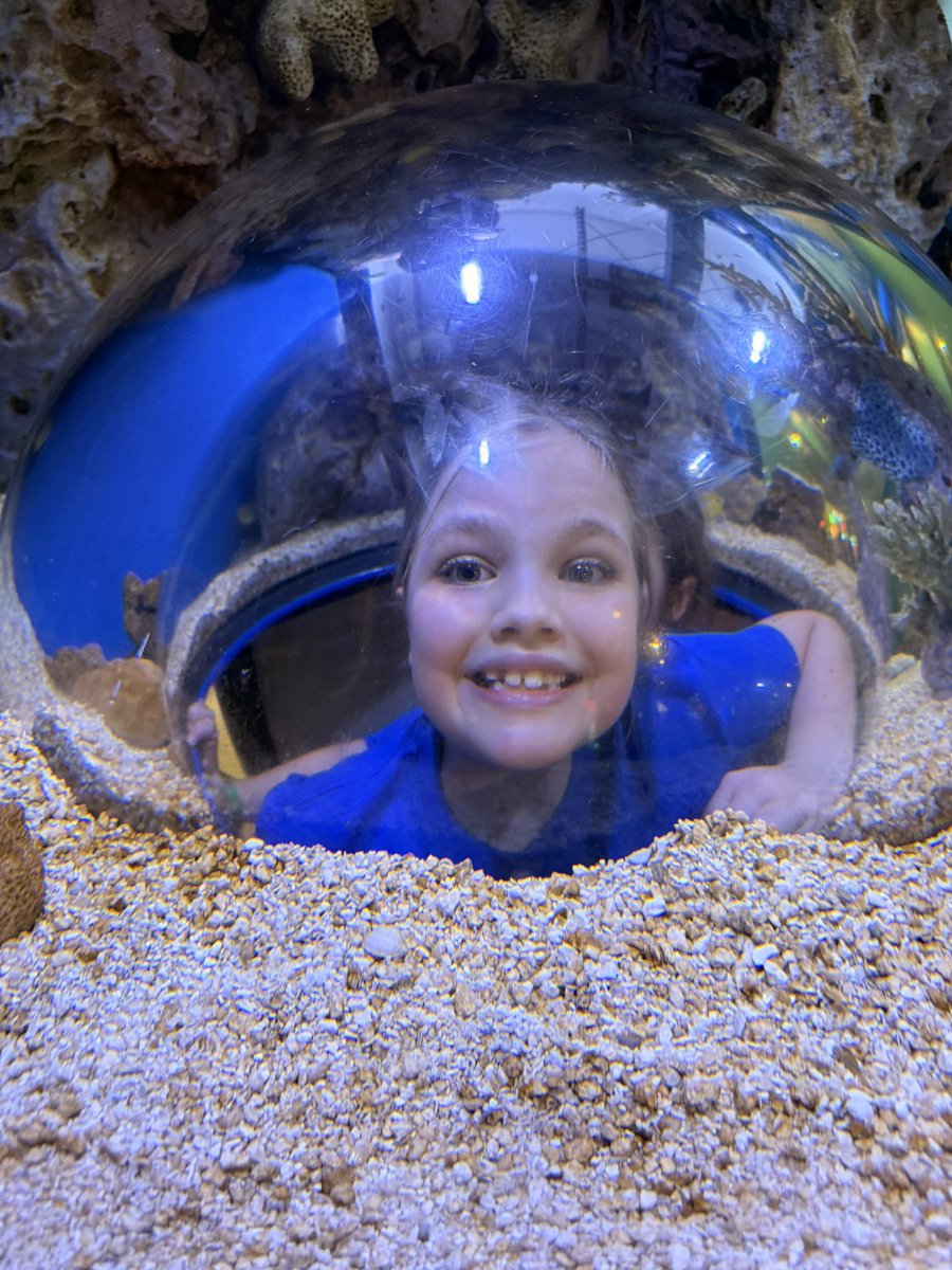 Lauren Larson tweet media