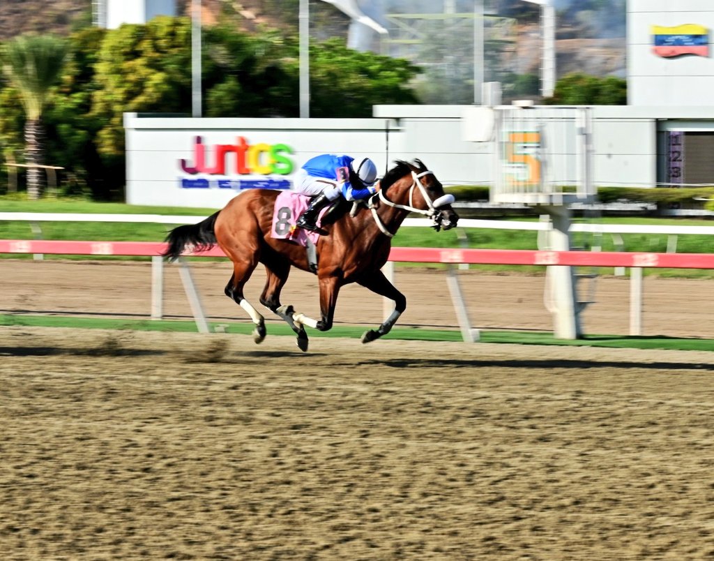 César Paparoni tweet media
