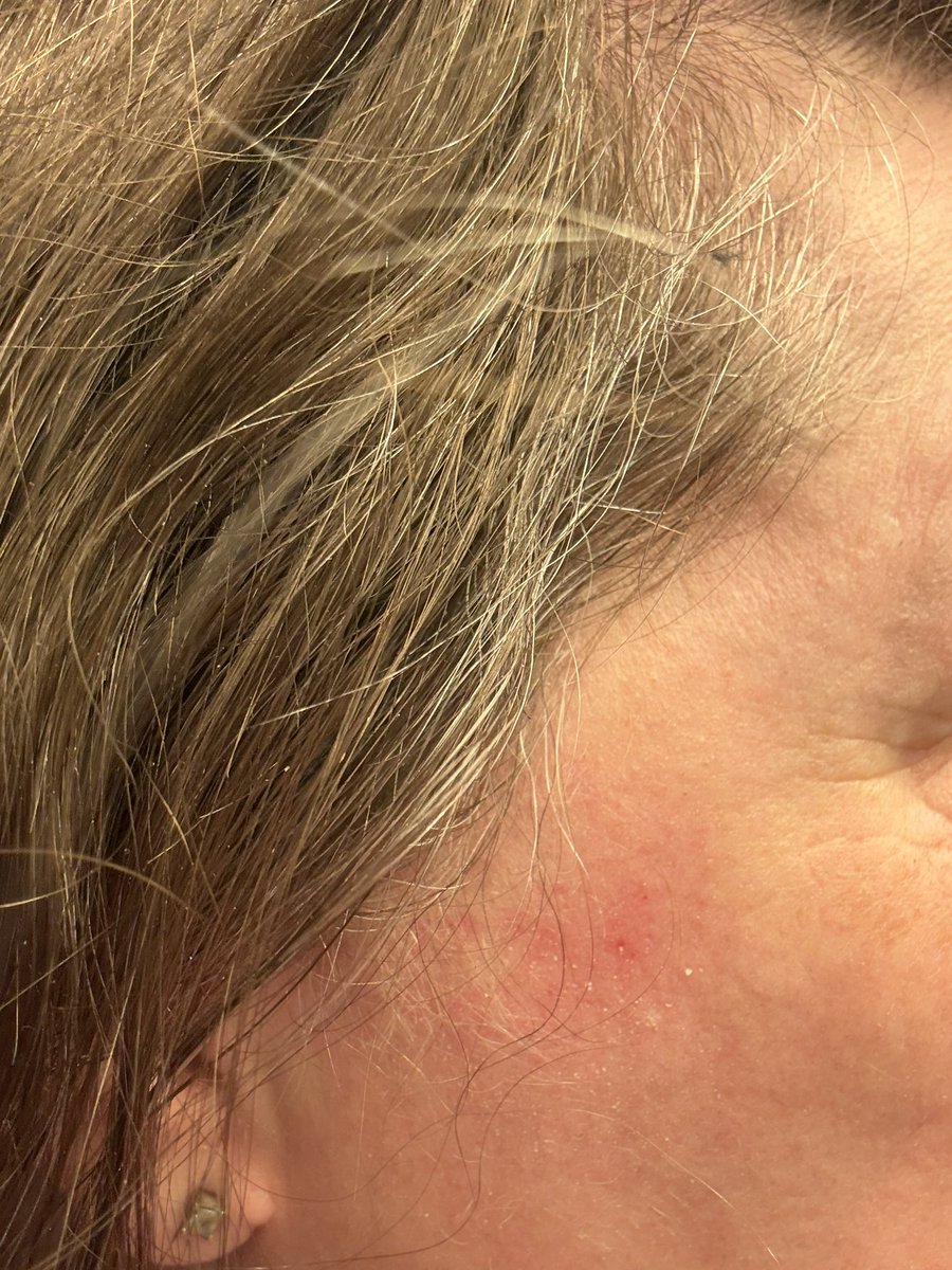 Mama Moose🫎 tweet media