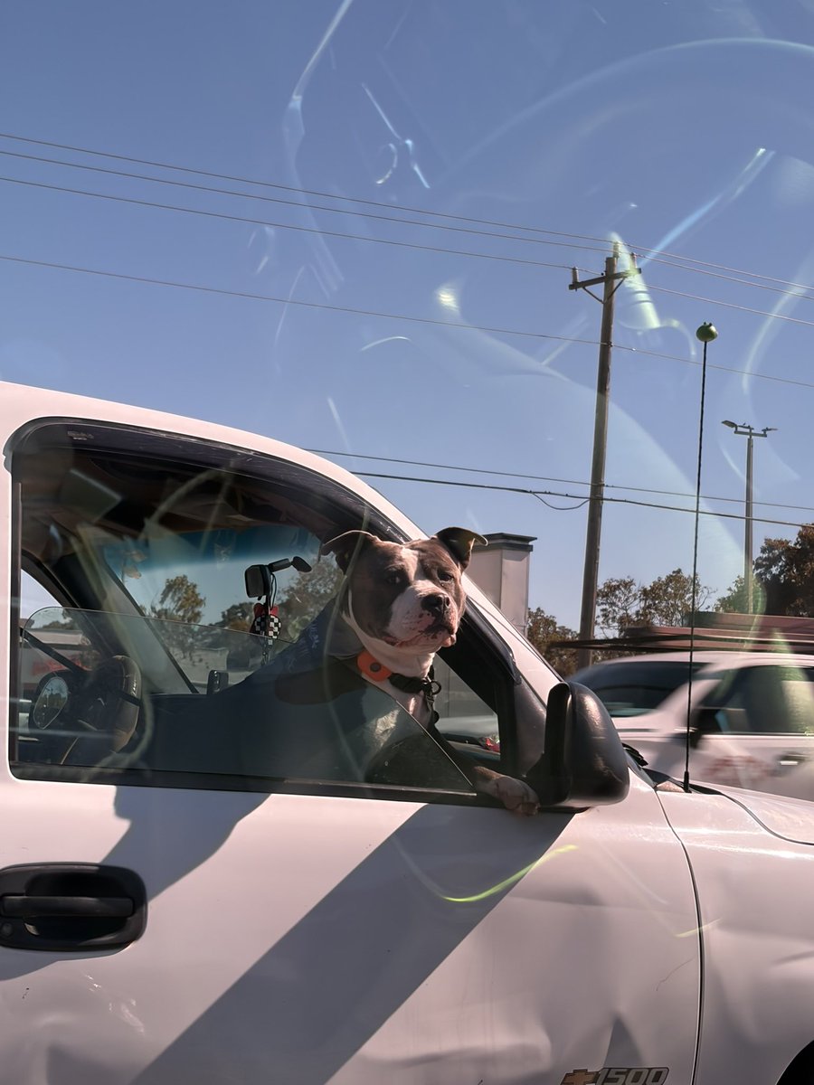 J x s e 7 ᴋ ~ 🇵🇷 tweet media