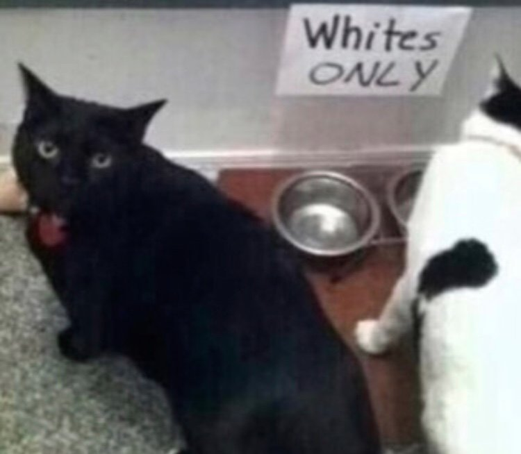 Dark,Odd,Conspiracy tweet media