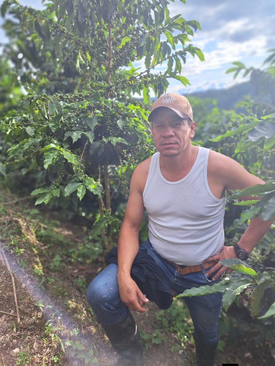 Harry Alexander tweet media