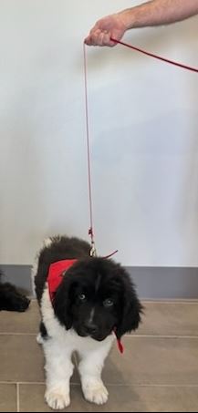 Center for Change tweet media