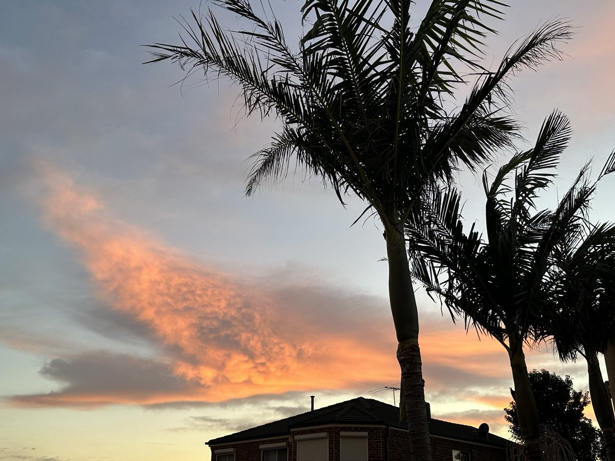 Jo ☕️💫🌻 tweet media