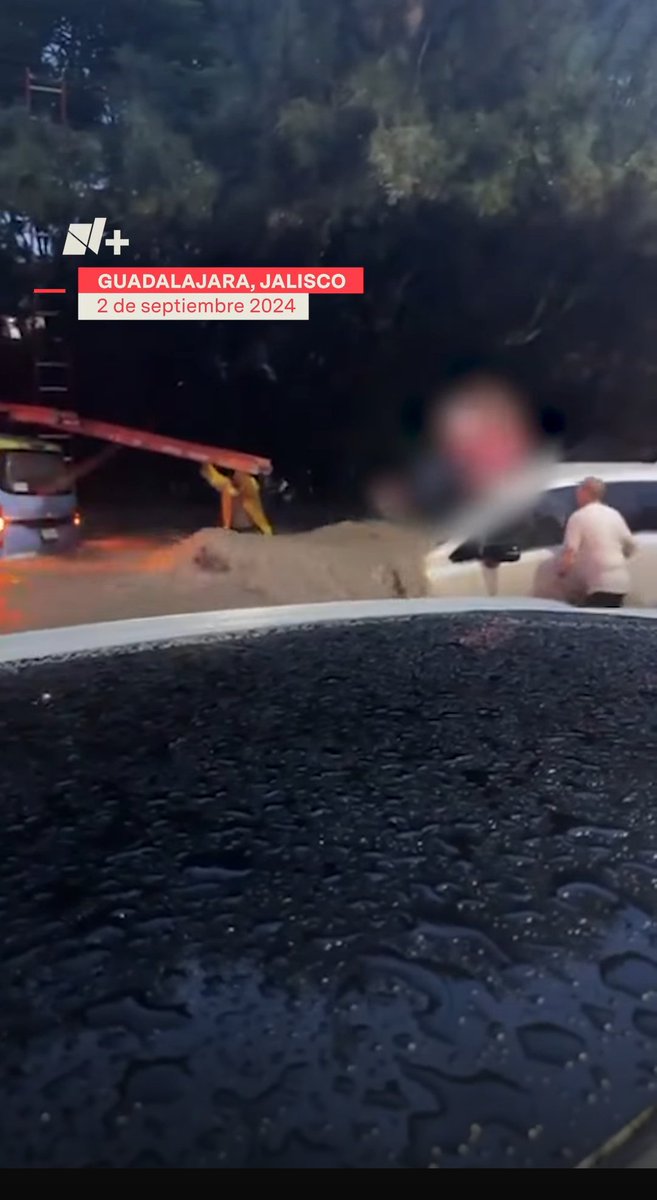 Violeta Meléndez tweet media