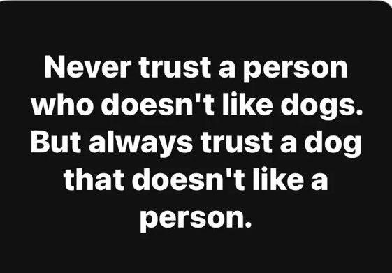 Suzie rizzio tweet media